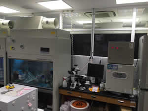 Lab
